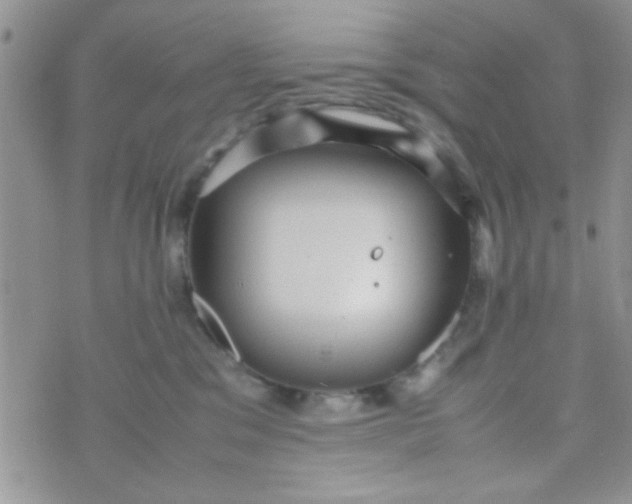 X0000070410329200606302042