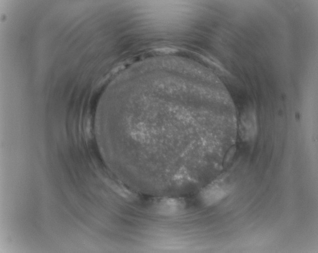 X0000070410330200606302042