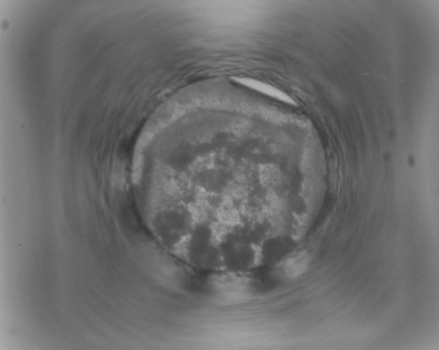 X0000070410331200606302042