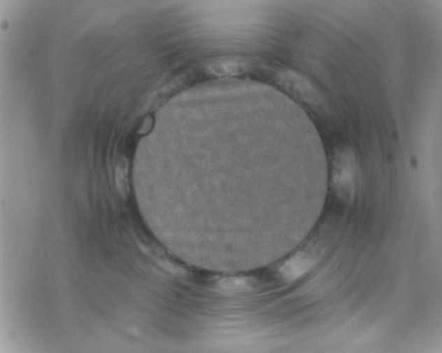 X0000070410332200606302042