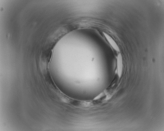 X0000070410333200606302042