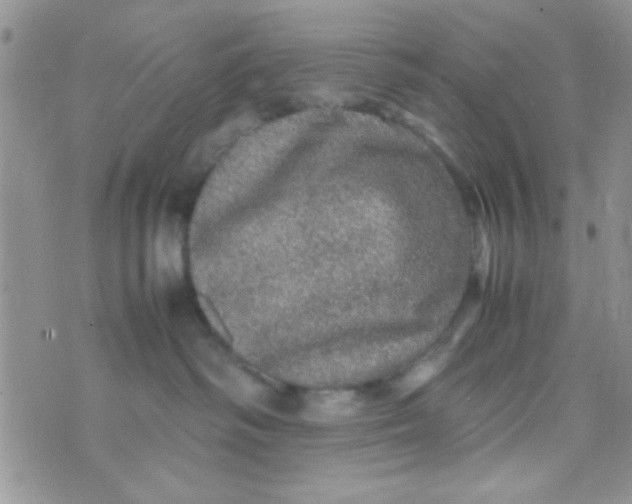 X0000070410334200606302042