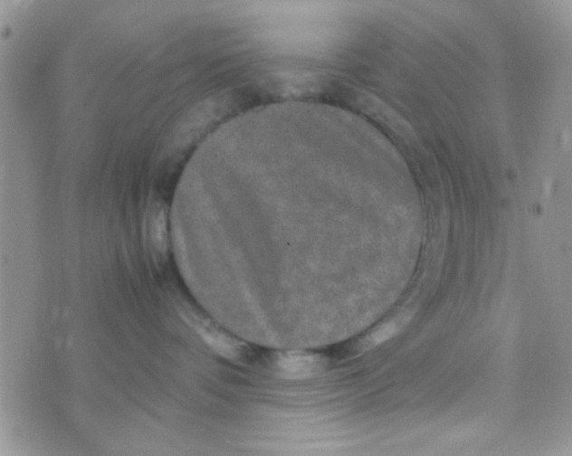 X0000070410336200606302042