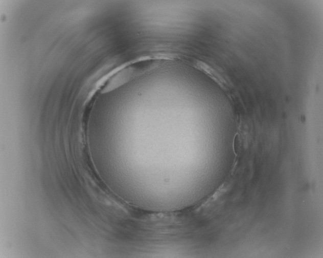 X0000070410338200606302042