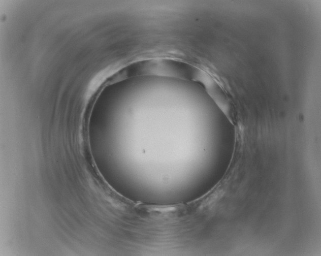 X0000070410340200606302042