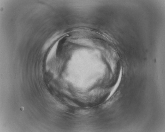 X0000070410341200606302042