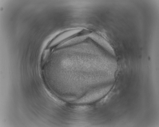 X0000070410342200606302042