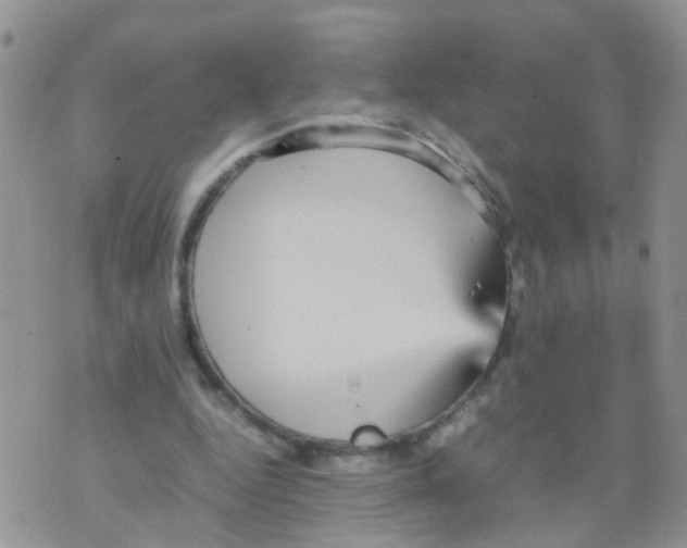 X0000070410344200606302042