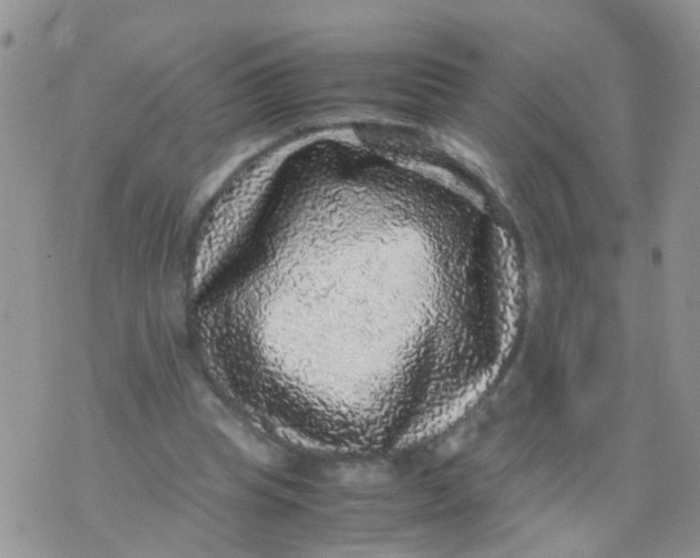 X0000070410345200606302042