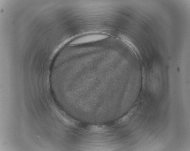 X0000070410346200606302042