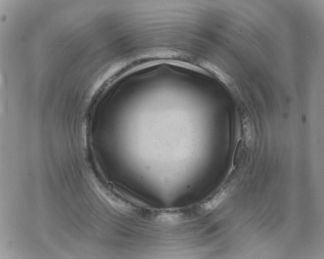 X0000070410350200606302042