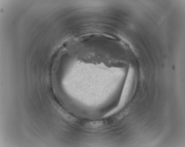 X0000070410353200606302042