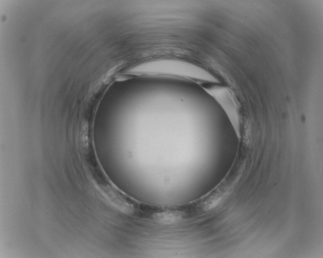 X0000070410356200606302042