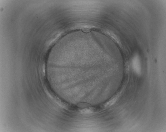 X0000070410358200606302042