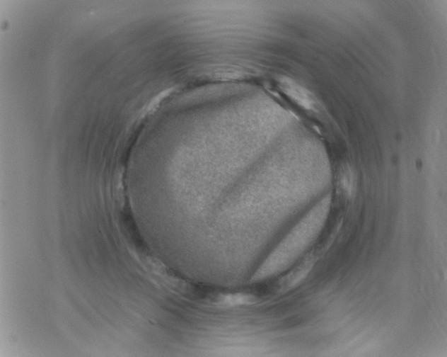 X0000070410360200606302042