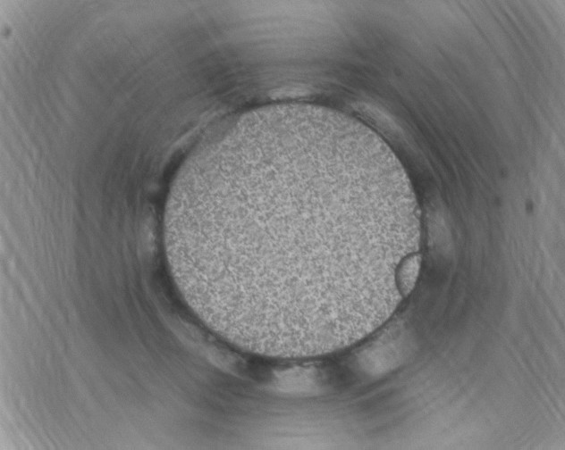 X0000070410362200606302042