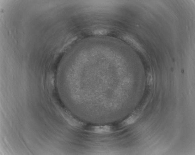 X0000070410363200606302042