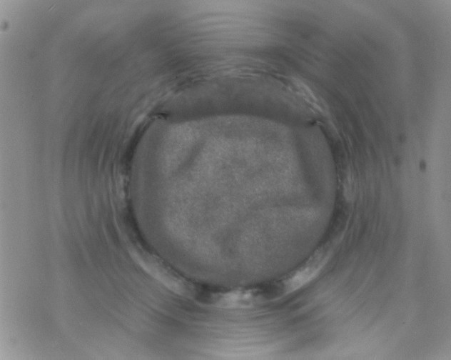 X0000070410366200606302042