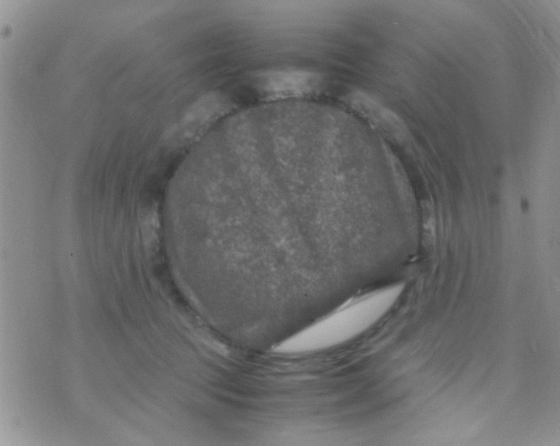 X0000070410369200606302042