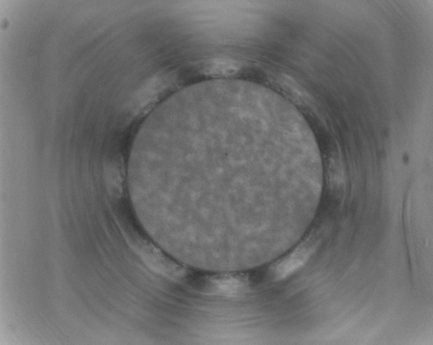 X0000070410370200606302042