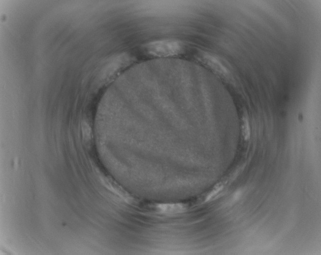 X0000070410371200606302042