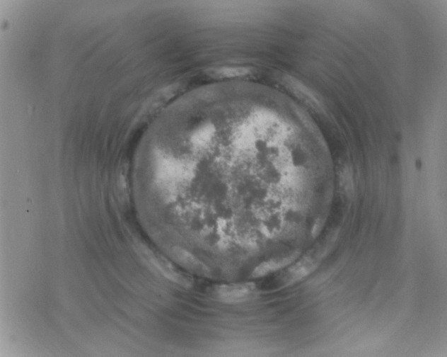 X0000070410373200606302042