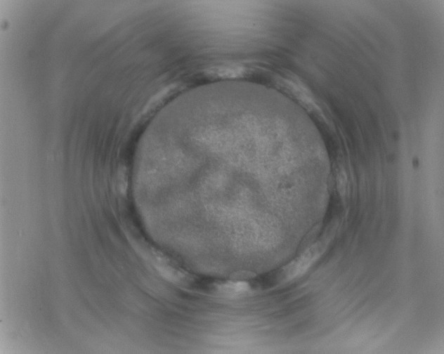 X0000070410374200606302042