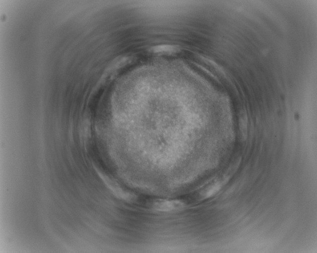 X0000070410379200606302042