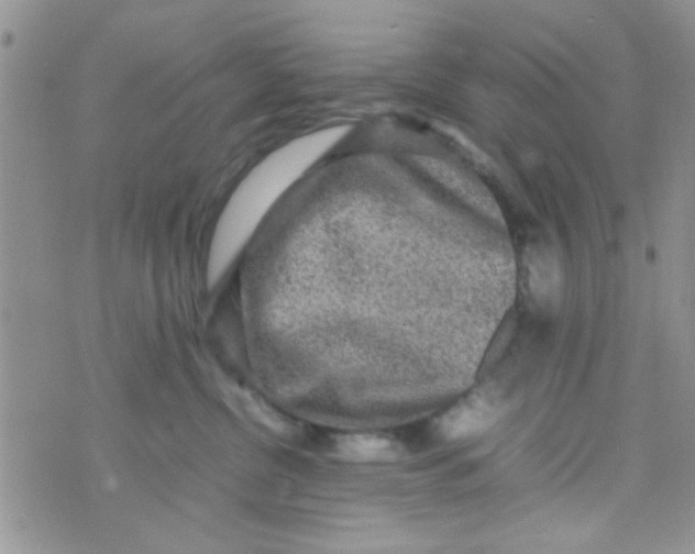 X0000070410380200606302042