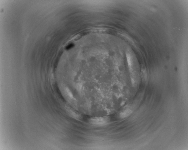 X0000070410381200606302042