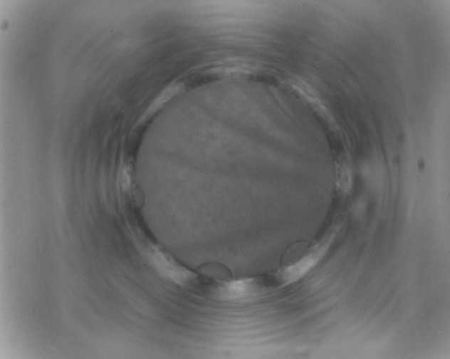 X0000070410382200606302042