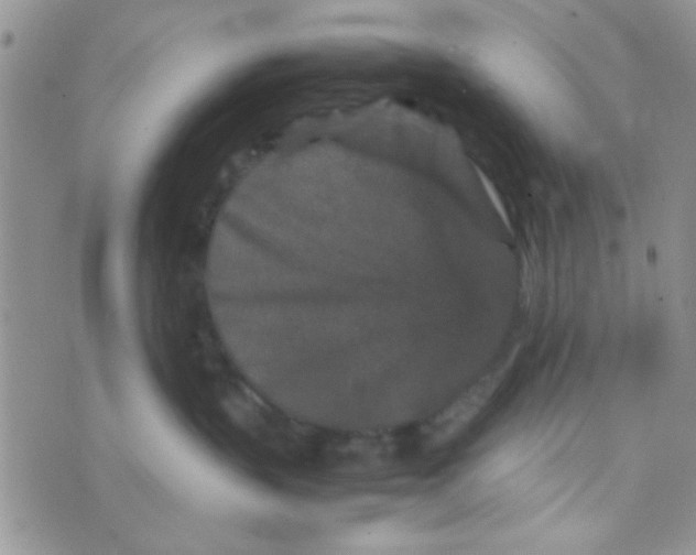 X0000070410383200606302042