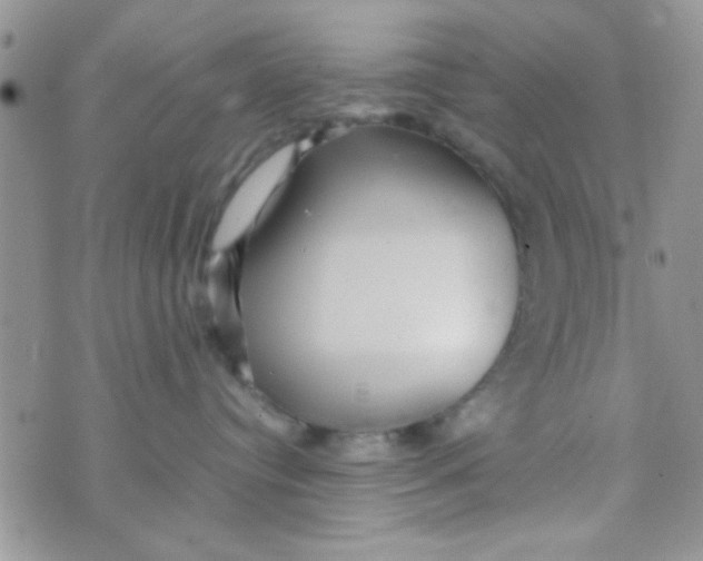 X0000070410384200606302042