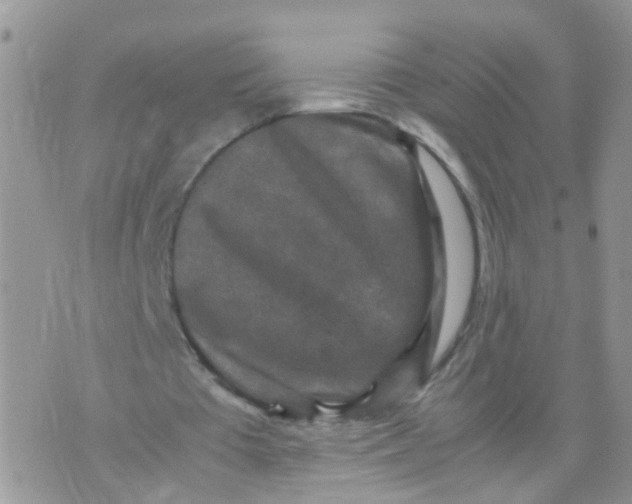 X0000070410385200606302042