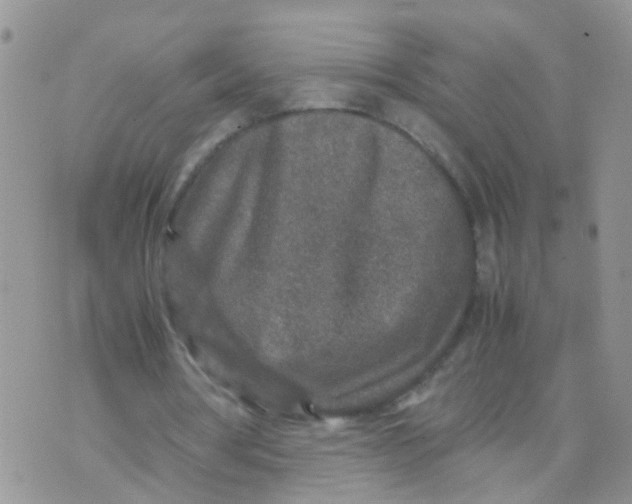 X0000070410386200606302041