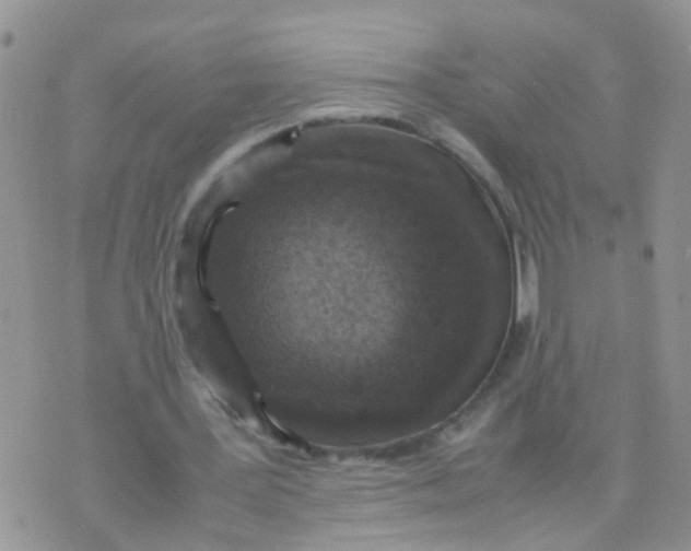 X0000070410387200606302041