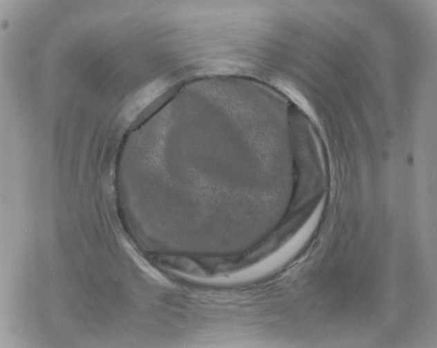 X0000070410389200606302041