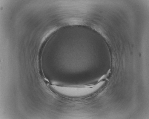 X0000070410391200606302041