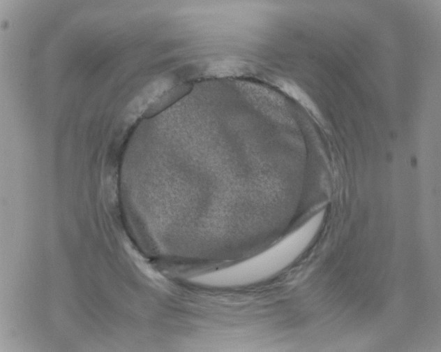 X0000070410393200606302041