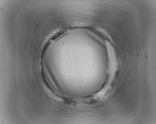 X0000070410395200606302041