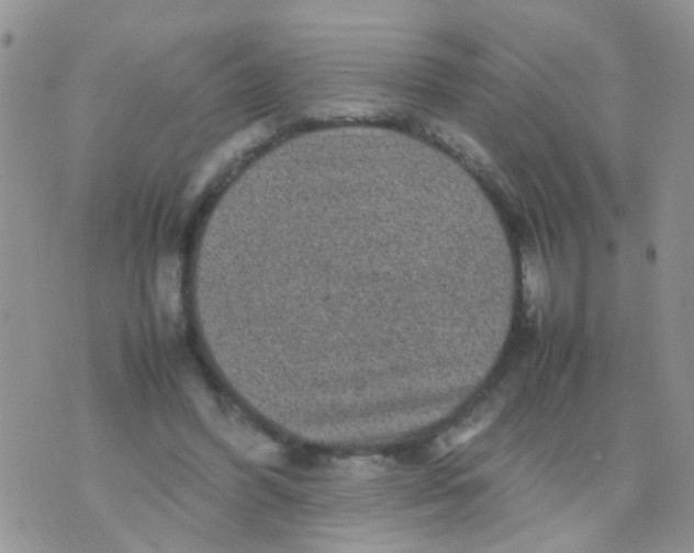 X0000070410396200606302041