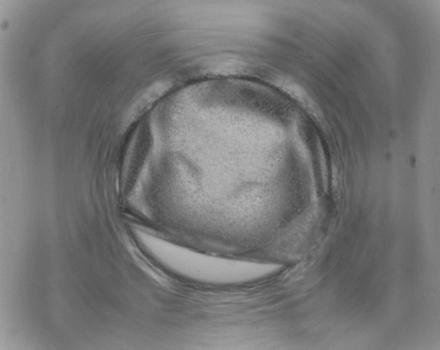 X0000070410397200606302041