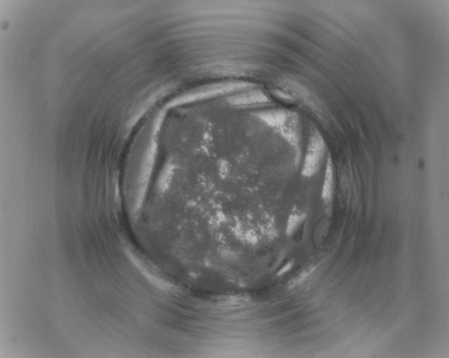 X0000070410398200606302041