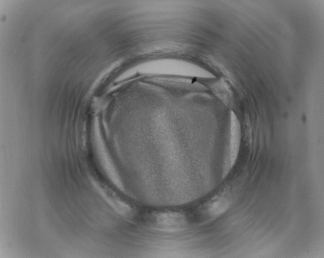 X0000070410400200606302041