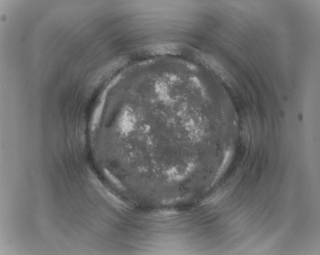 X0000070410402200606302041