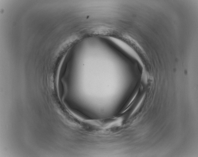 X0000070410403200606302041