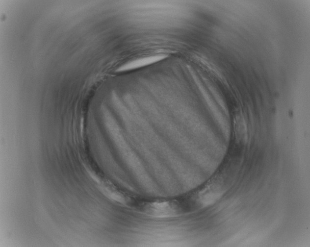 X0000070410406200606302041