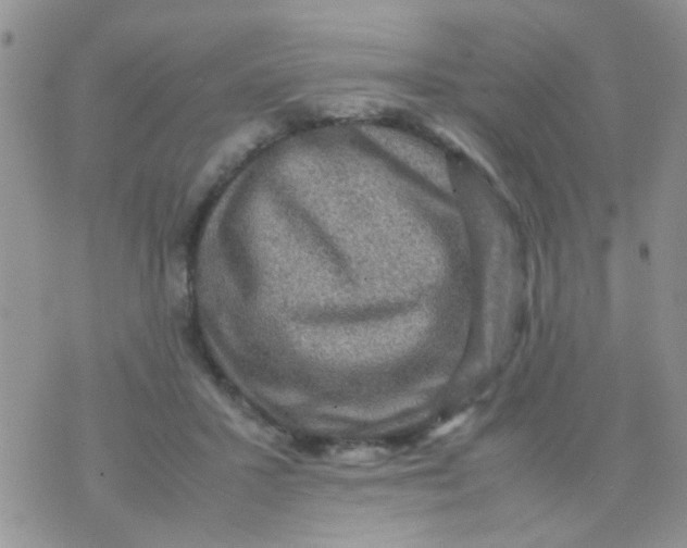 X0000070410407200606302041