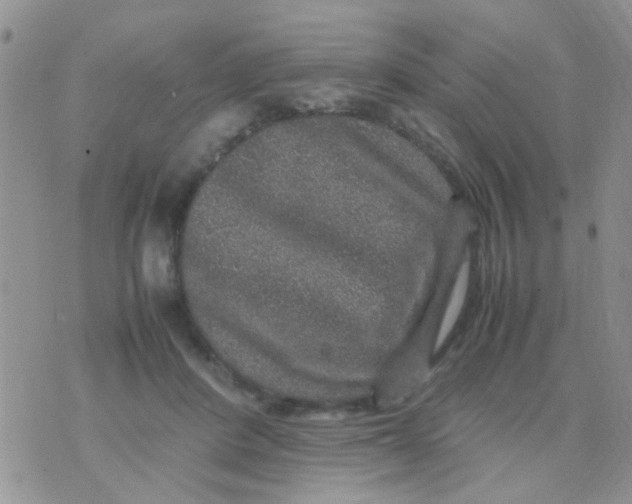 X0000070410408200606302041