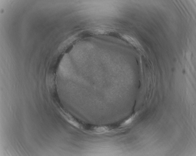 X0000070410409200606302041